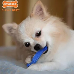 Flexi Chews Small Dog Dental Kit Dog Toys