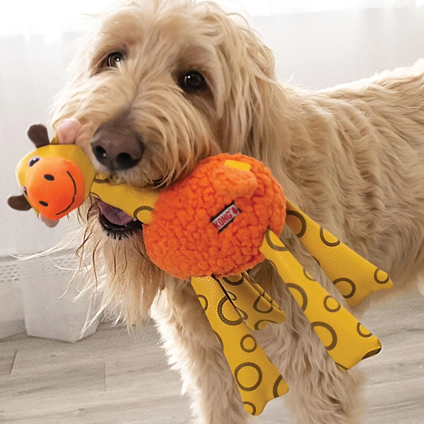 Floofs Shakers Giraffe Dog Toy