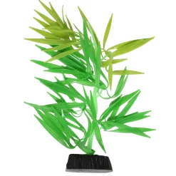 Flow Amazon Green Plant
