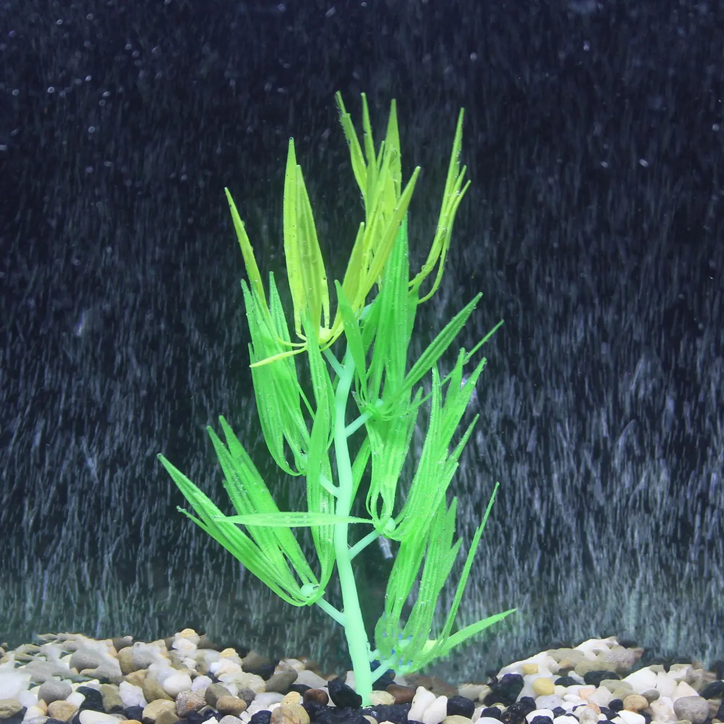 Flow Amazon Green Plant