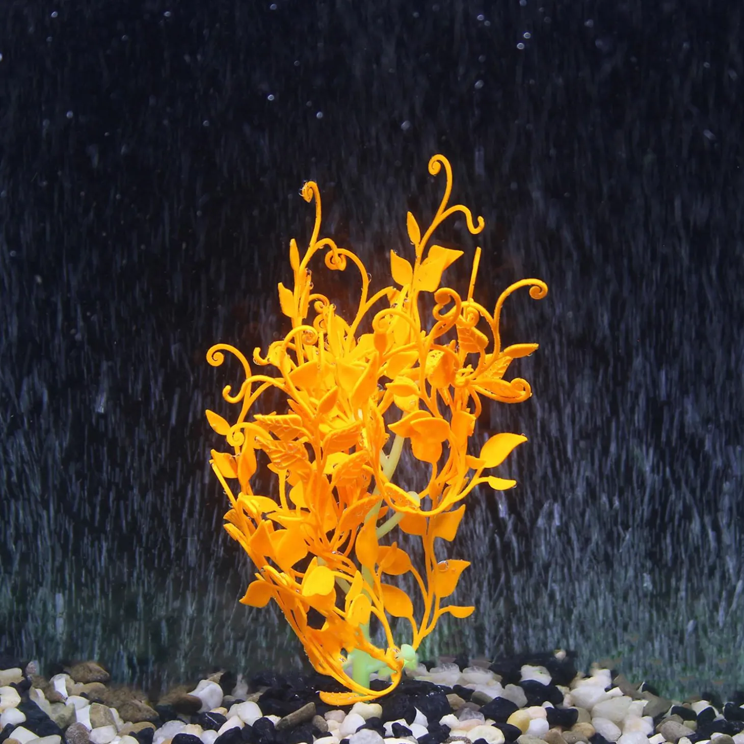 Flow Fantasy Orange Plant