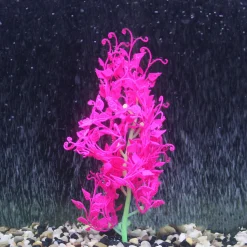Flow Fantasy Pink Plant