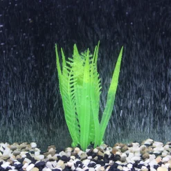 Flow Staghorn Fern & Seaweed Green Plant