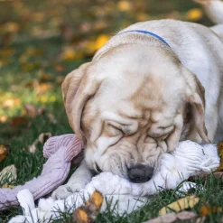 Fluffer Long & Lovelie Louise Lamb Dog Toy