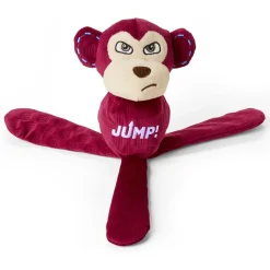 Flying Monkey Dog Toy