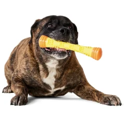 Foam Squeaker Stick Dog Toy