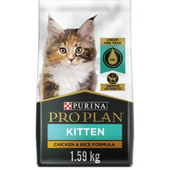 Focus Kitten Chicken & Rice Formula Cat Food