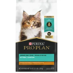 Focus Kitten Chicken & Rice Formula Cat Food