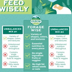 Forage Wise Daily Adult Guinea Pig Food