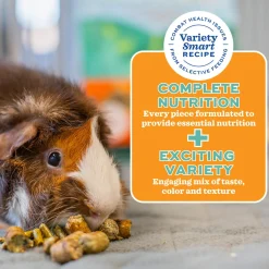 Forage Wise Daily Adult Guinea Pig Food