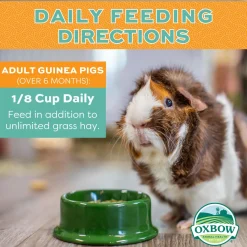 Forage Wise Daily Adult Guinea Pig Food