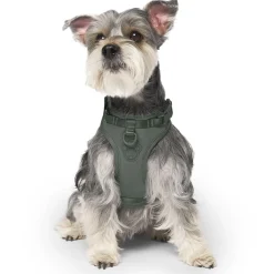 Forest Green Neoprene Dog Harness