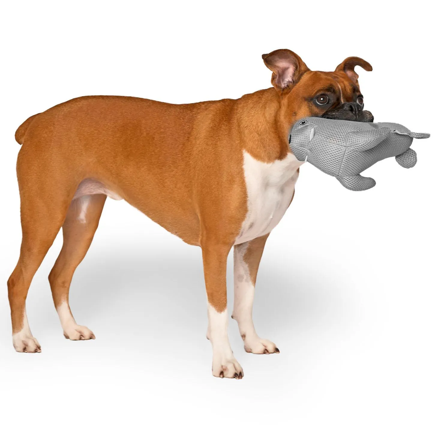 Freeze and Chill Cooling Pal Grey Walrus Dog Toy