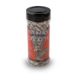 Freeze Dried Crickets