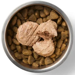 Freeze-Dried Raw Patties Beef Recipe Dog Food