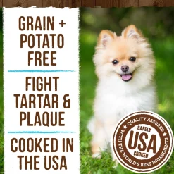 Fresh Kisses Double-Brush Real Mint X-Small Breed Dog Treats