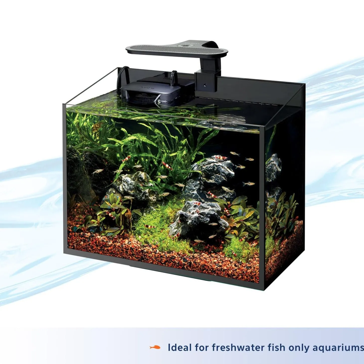 Freshwater Aquarium Clip-On LED Light