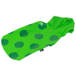 Frog Print Green Raincoat