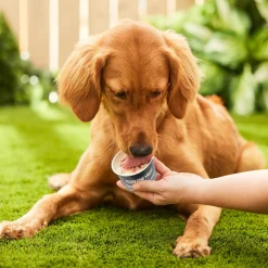 Frozen Goat Yogurt Bacon Bites Dog Treat