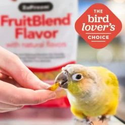 FruitBlend Flavour Large Bird Food