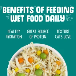 Funky Chunky Chicken Soup with Pumpkin Adult Cat Food