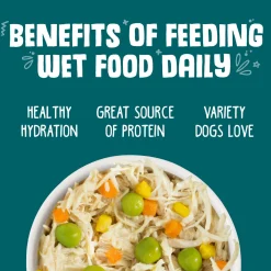 Funky Chunky Chicken Soup with Pumpkin Dog Food