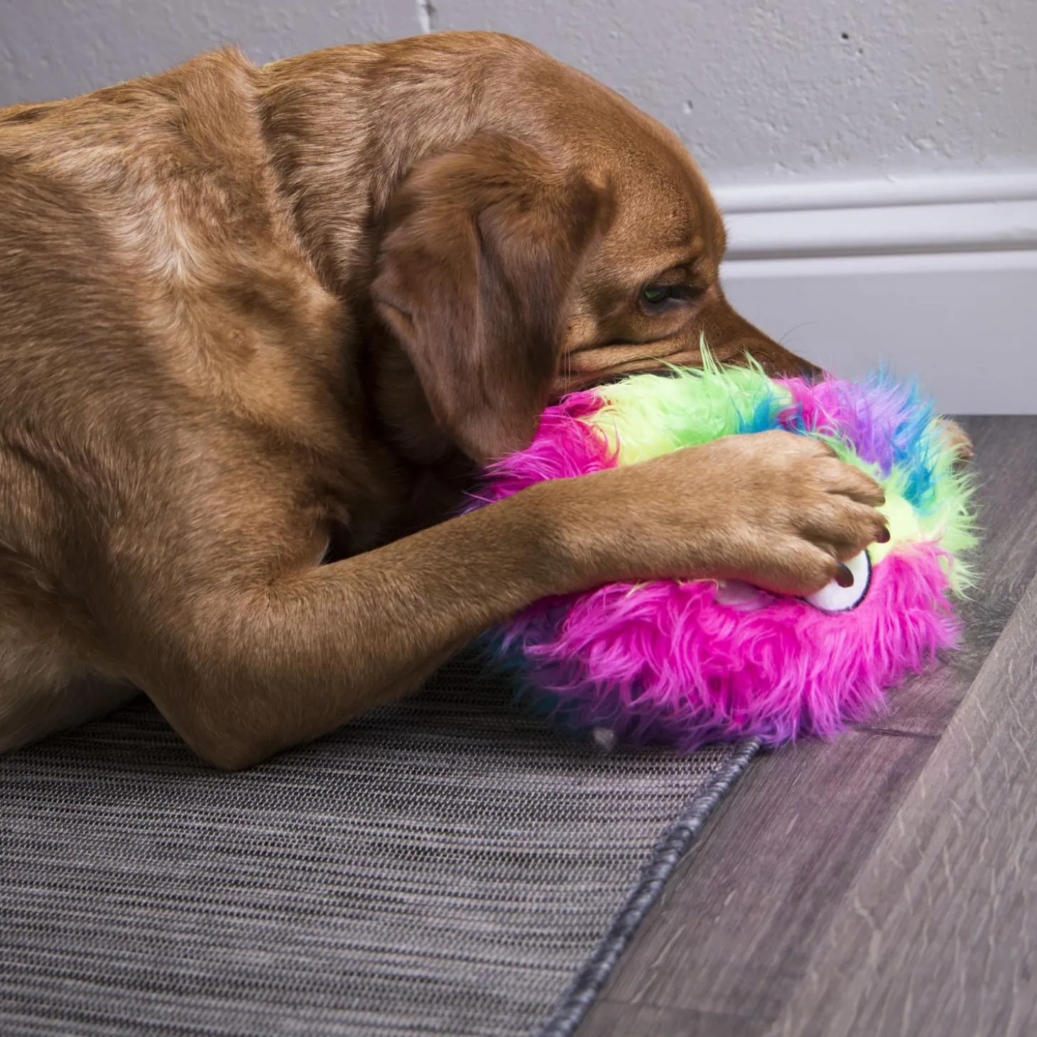Furballz Rainbow Dog Toy