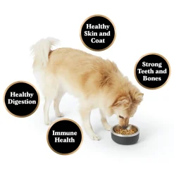 Gently Cooked Beef Risotto Adult Dog Food