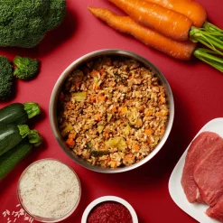 Gently Cooked Beef Risotto Adult Dog Food