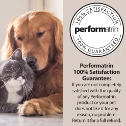 Gently Cooked Beef Risotto Adult Dog Food