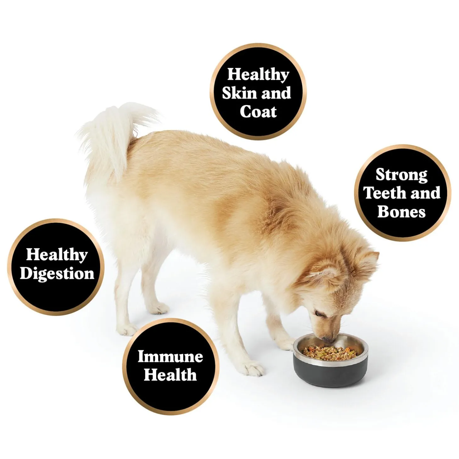 Gently Cooked Turducken Banquet Adult Dog Food