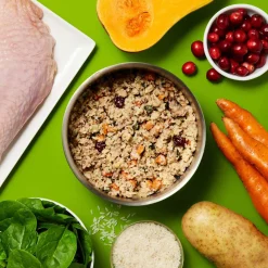 Gently Cooked Turkey Dinner Adult Dog Food