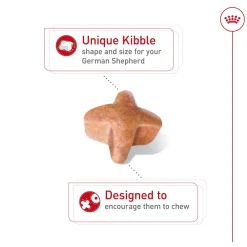 German Shepherd Adult Dog Food