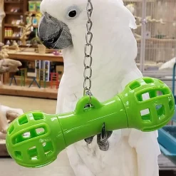 Giggly Dumbbell Bird Toy