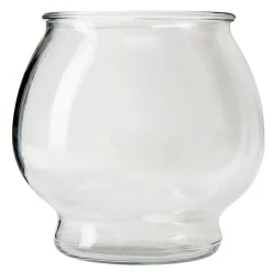 Glass Footed Fish Bowl
