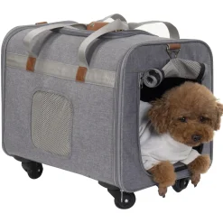 Globetrotter Grey Soft Carrier