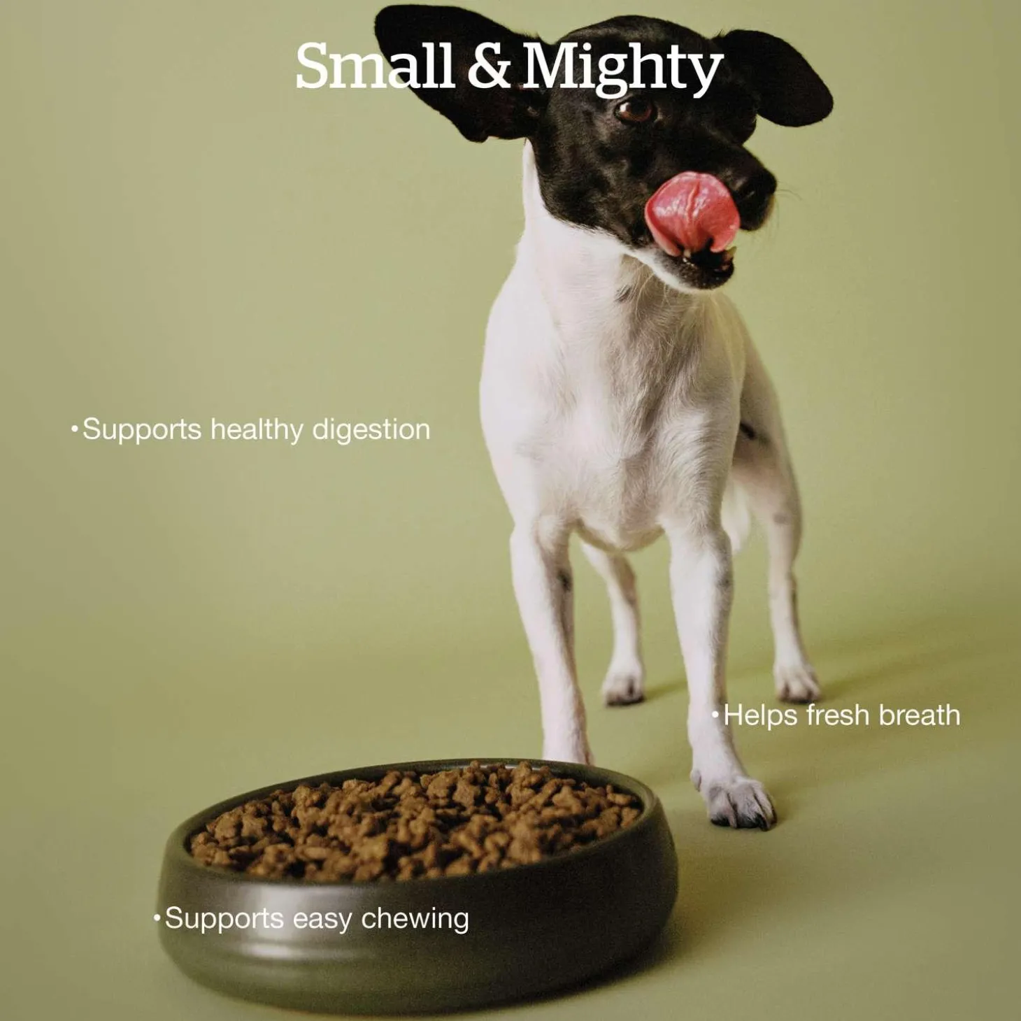 Good Gravy Chicken Coated in Bone Broth Small Breed Adult Dog Food