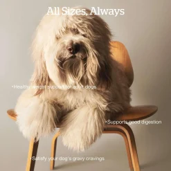 Good Gravy Salmon Coated in Bone Broth Adult Dog Food