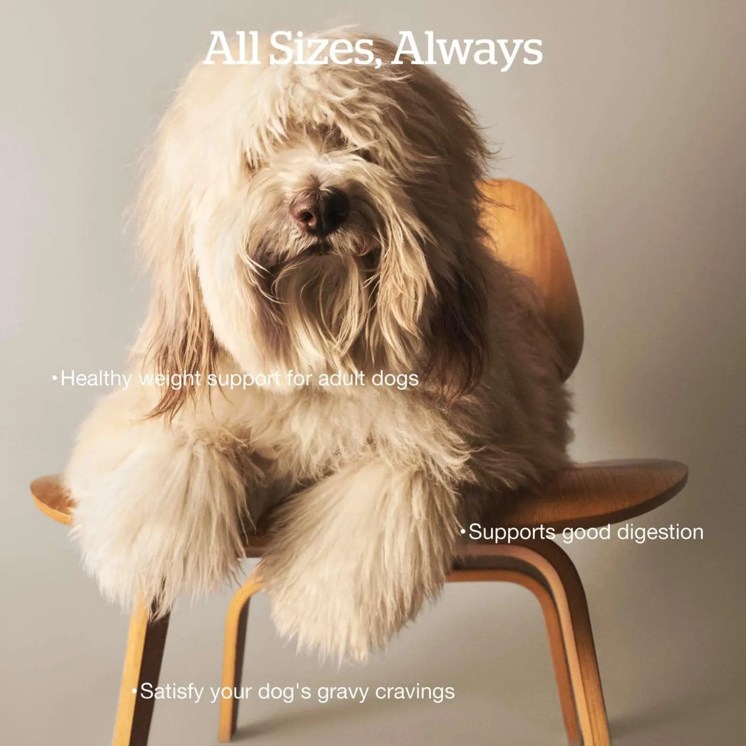 Good Gravy Salmon Coated in Bone Broth Adult Dog Food