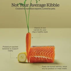 Good Gravy Salmon Coated in Bone Broth Adult Dog Food