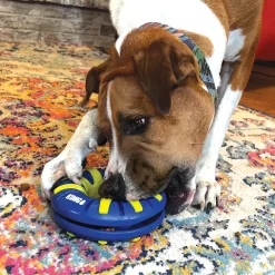 Goodies Ring Dog Treat Dispenser Dog Toy