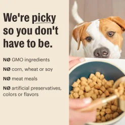 Grain Free Clusters Turkey Recipe Dog Food