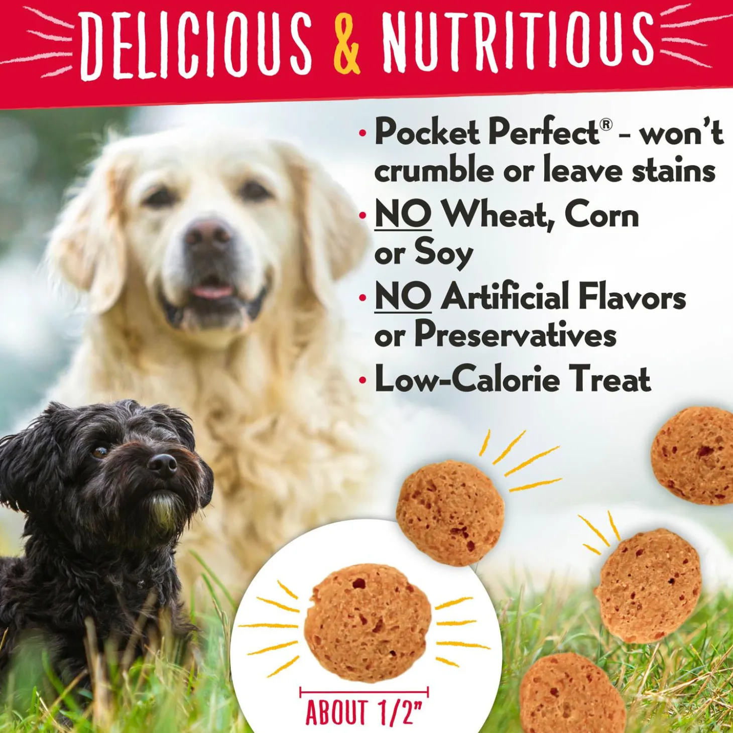 Grain Free Crunch Turkey, Sweet Potato & Cranberry Flavour Dog Treats