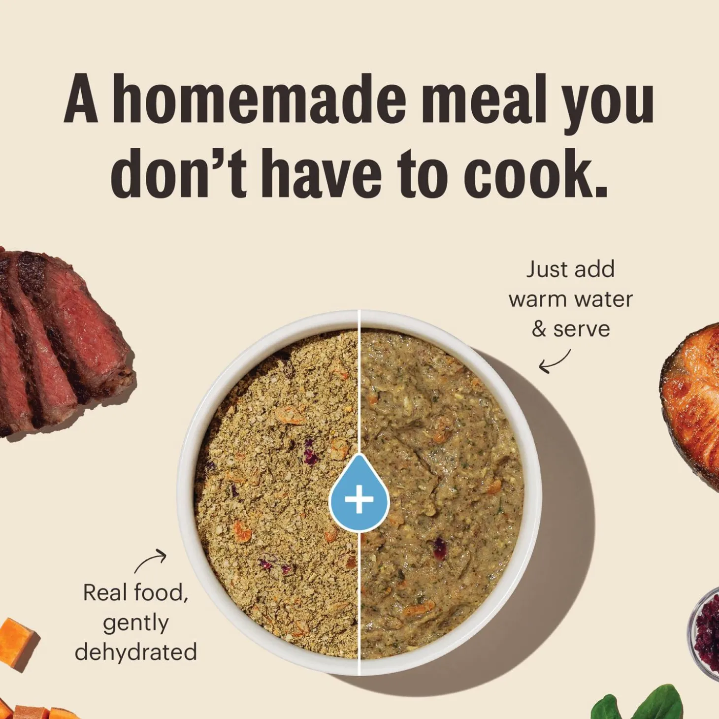 Grain Free Fish Recipe Adult Dog Food