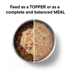 Grain-Free Chicken in Gravy Recipe Dog Food