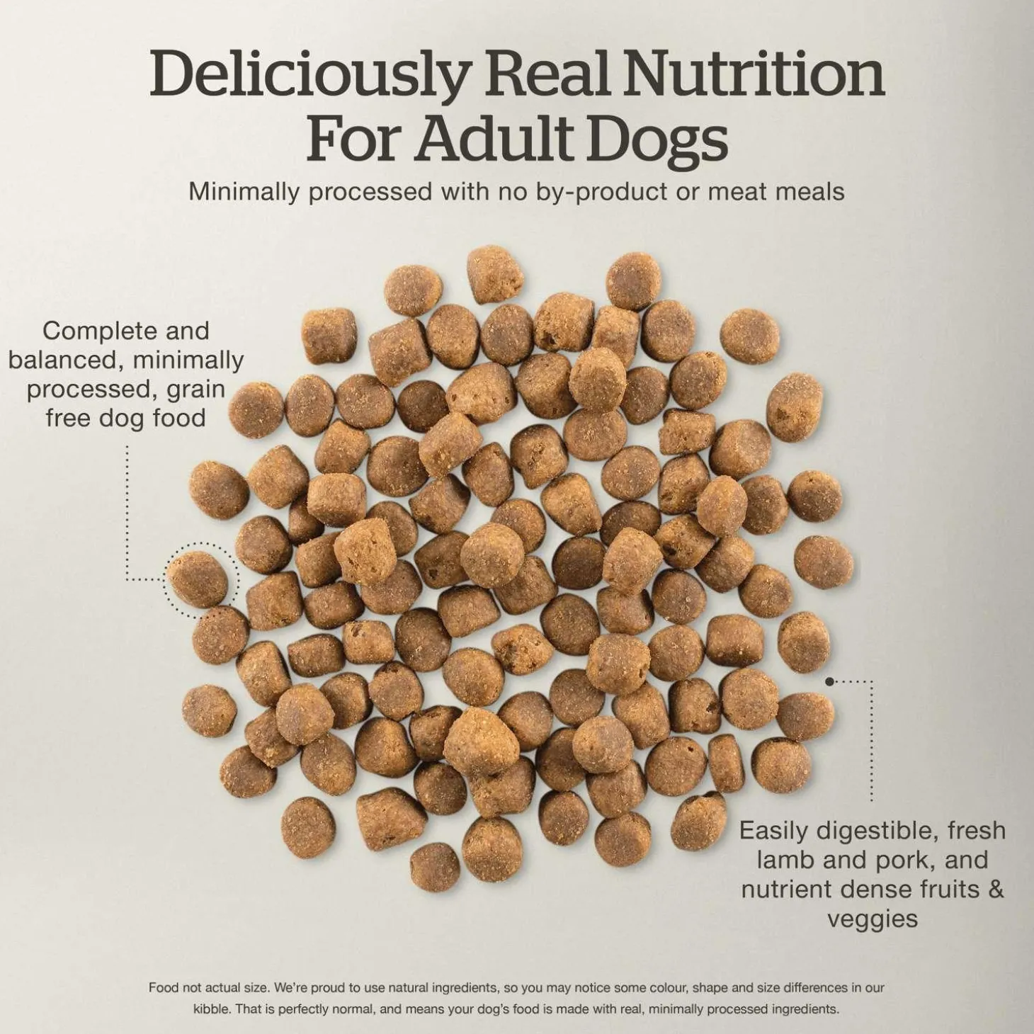 Grain-Free Lamb & Pork Recipe Adult Dog Food