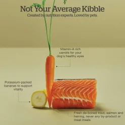 Grain-Free Trout, Salmon & Herring Recipe Adult Dog Food