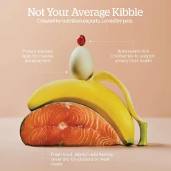 Grain-Free Trout, Salmon & Herring Recipe Adult Cat Food