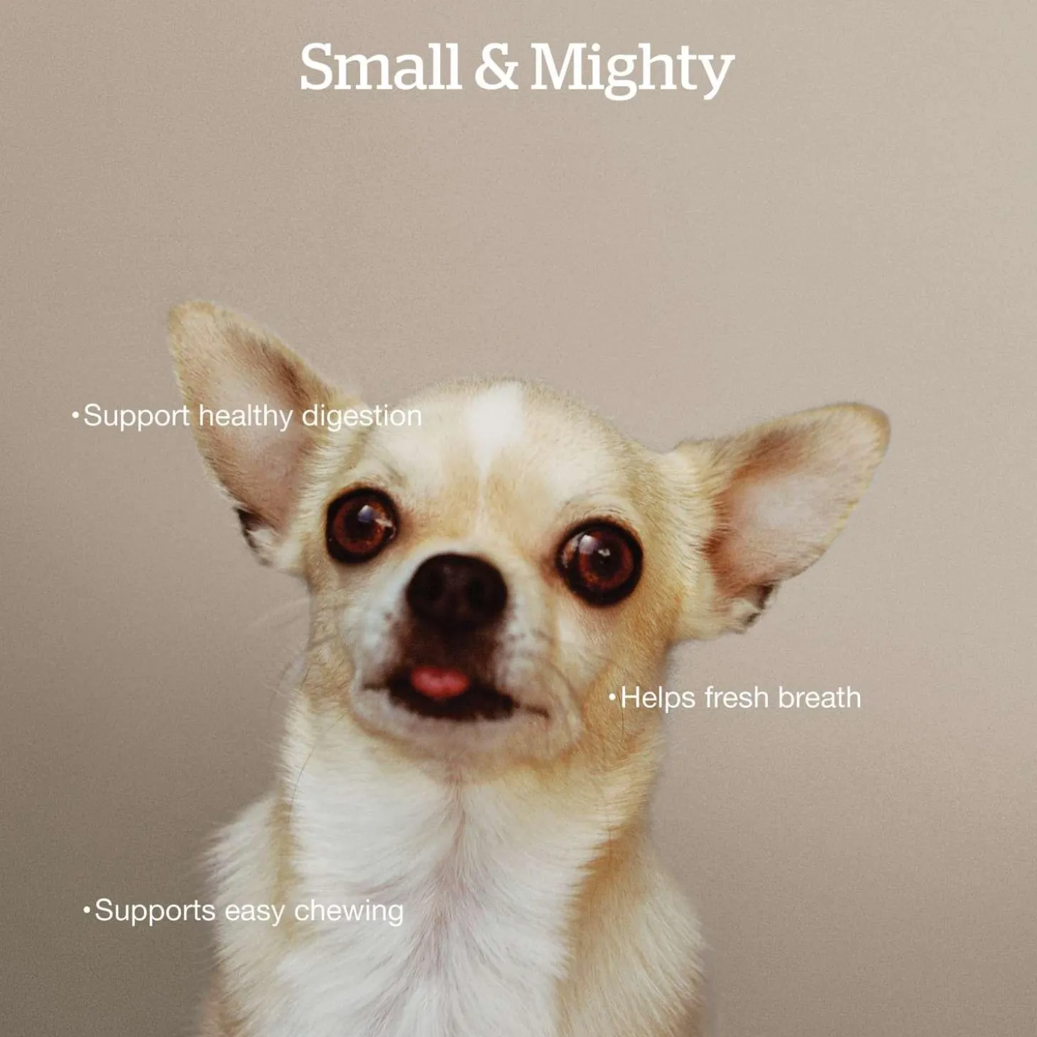 Grain-Free Trout, Salmon & Herring Recipe Small Breed Adult Dog Food