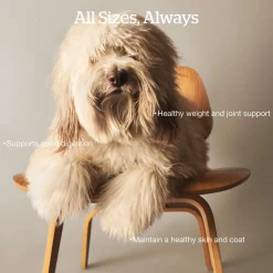 Grain-Free Turkey, Salmon & Duck Recipe Adult Dog Food